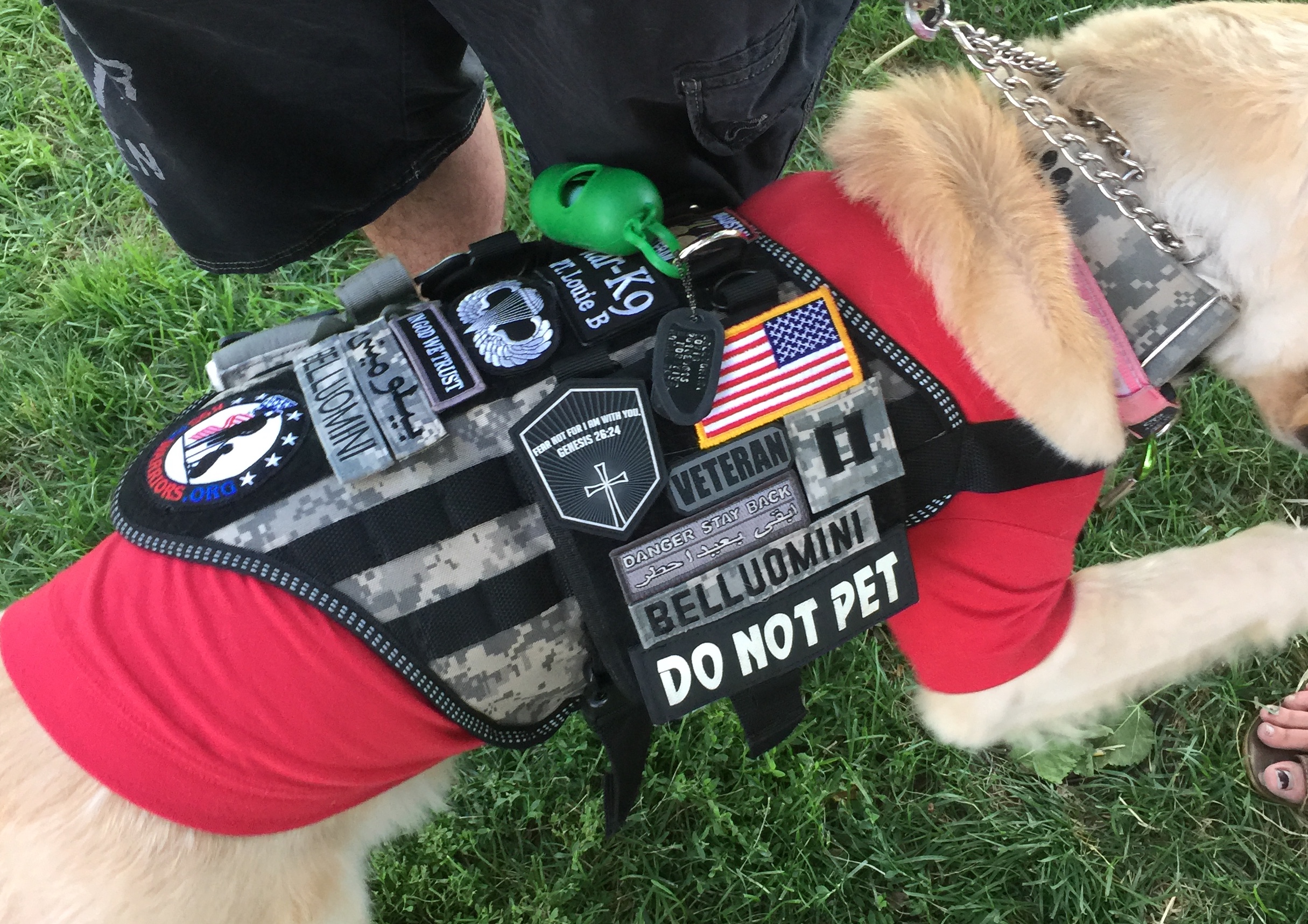 The Best Service Dog Vest For Your Dog Your Dog Advisor atelieryuwa