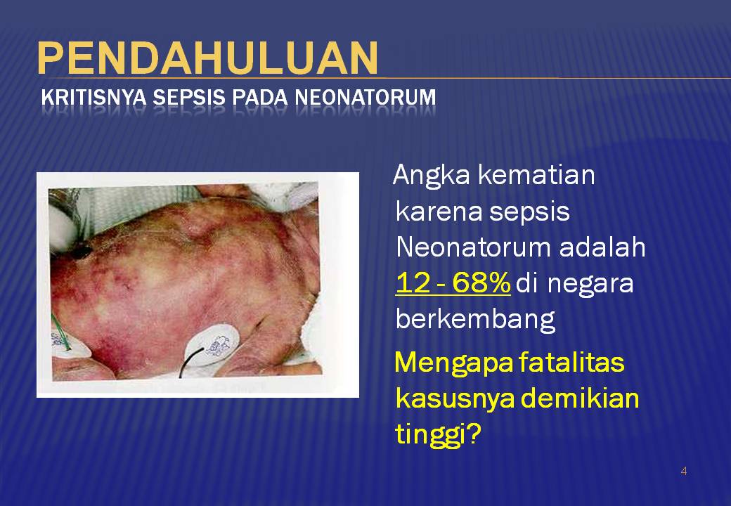 Neonatal Sepsis Dadangsjarif's Blog
