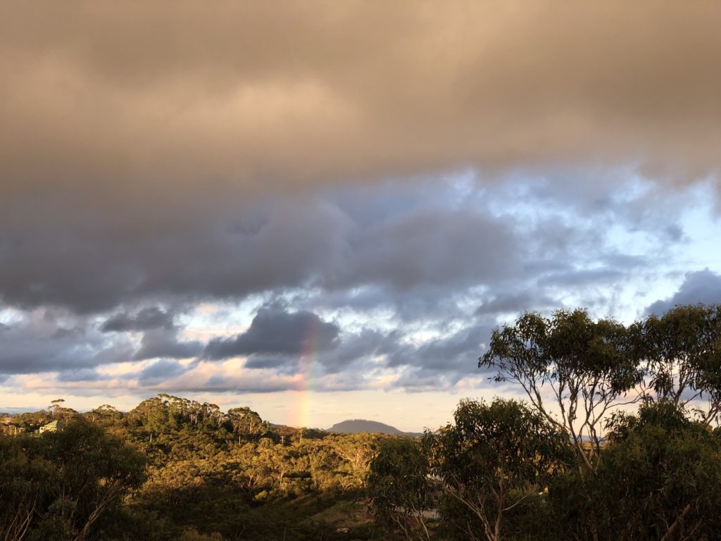 DadBodChallenge Blue Mountains Special (Days 18 21) Daddso