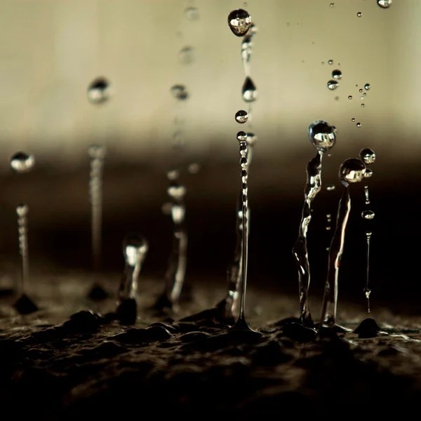 Splash, Splash, Splash! The Art of Macro Photography Daddu
