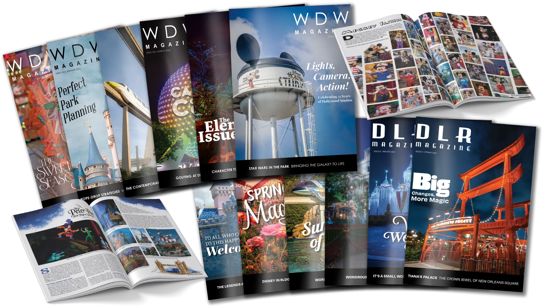 Diggity Dogs at Downtown Disney DadsGuidetoWDW