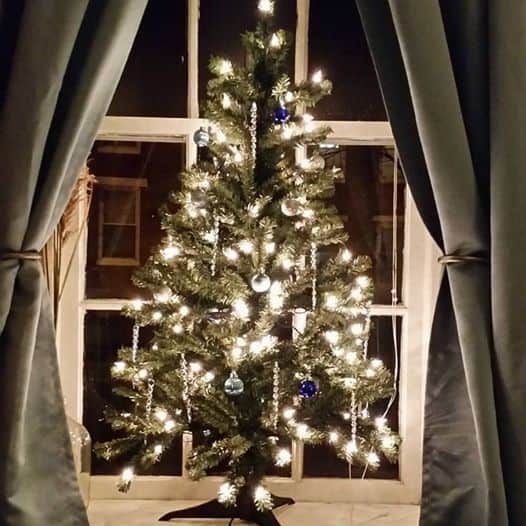 Which Type of Christmas Tree Should You Buy? D & A Dunlevy Landscapers