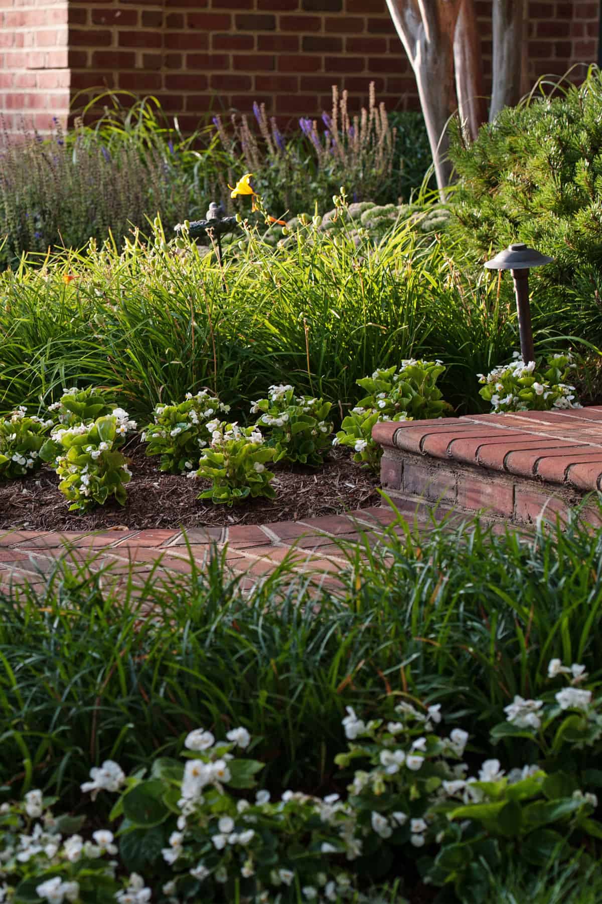 Gracefully Cultivated Gardens D. A. Dunlevy