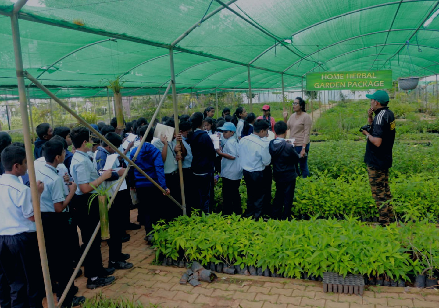 Daffodils Foundation for Learning