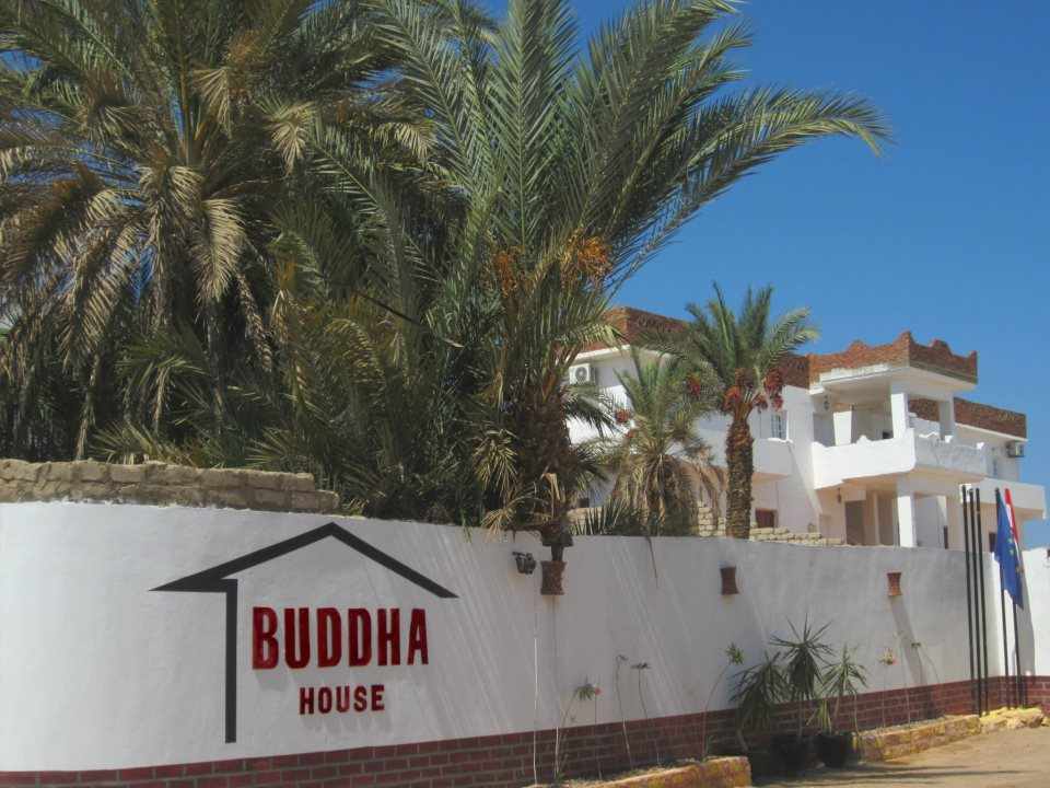 BUDDHA HOUSE, apartment 1 Dahab Real Estate (Rentals)