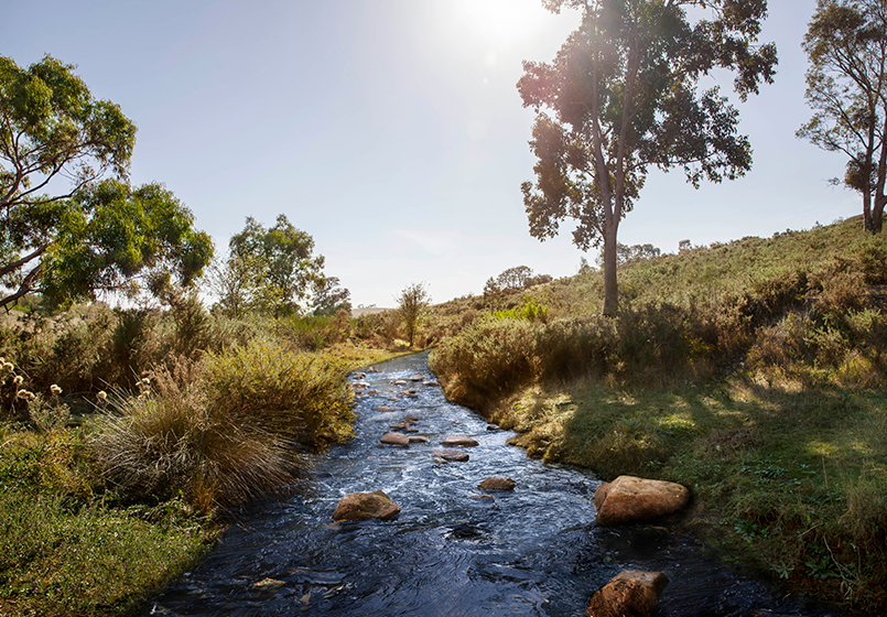 Riverhills Dahua Australia