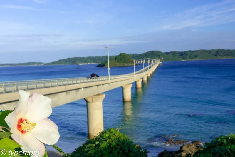 山口絶景ドライブ旅！角島大橋・元乃隅神社・秋芳洞を巡るキャンピングカー車中泊 ダイキん家のホームページ