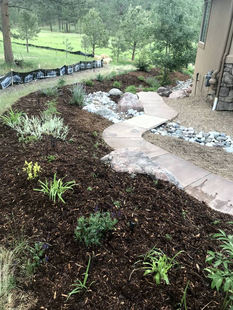 Landscaping Services Landscape Monument Castle Rock Colorado
