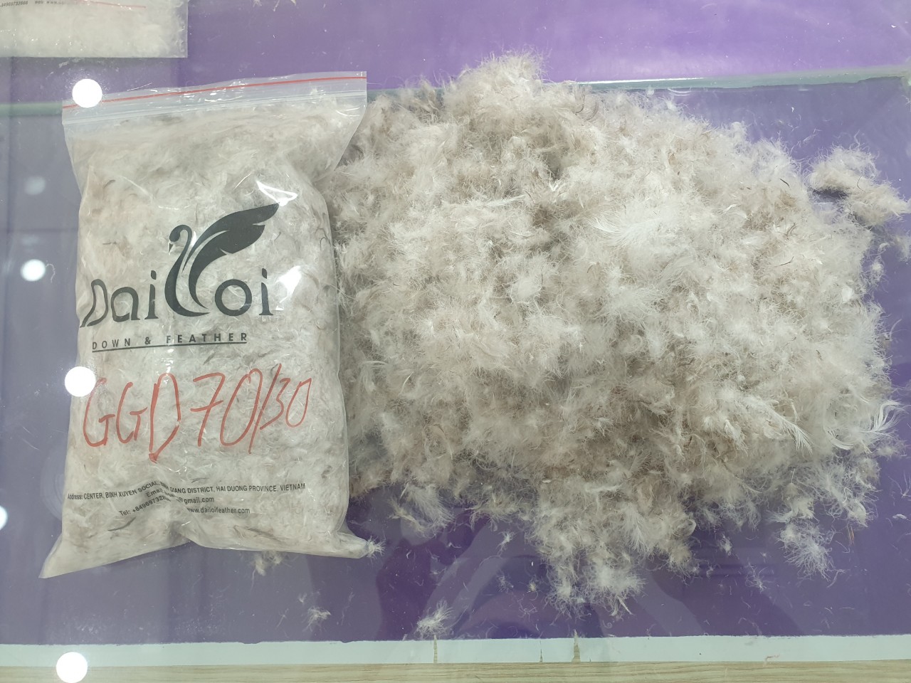 GREY GOOSE DOWN 70/30 Lông Vũ Đại Lợi