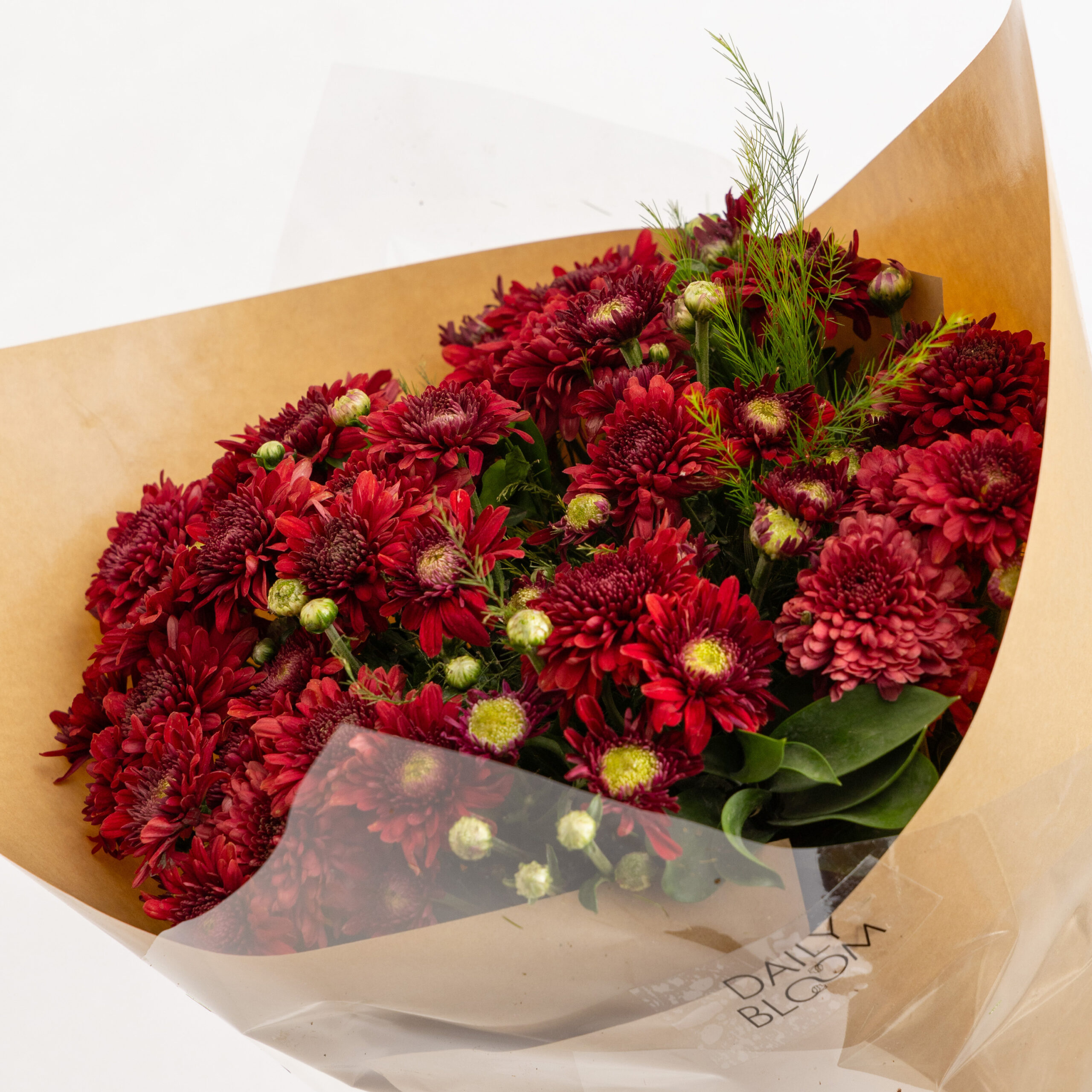 Harvest Moon Daily Bloom