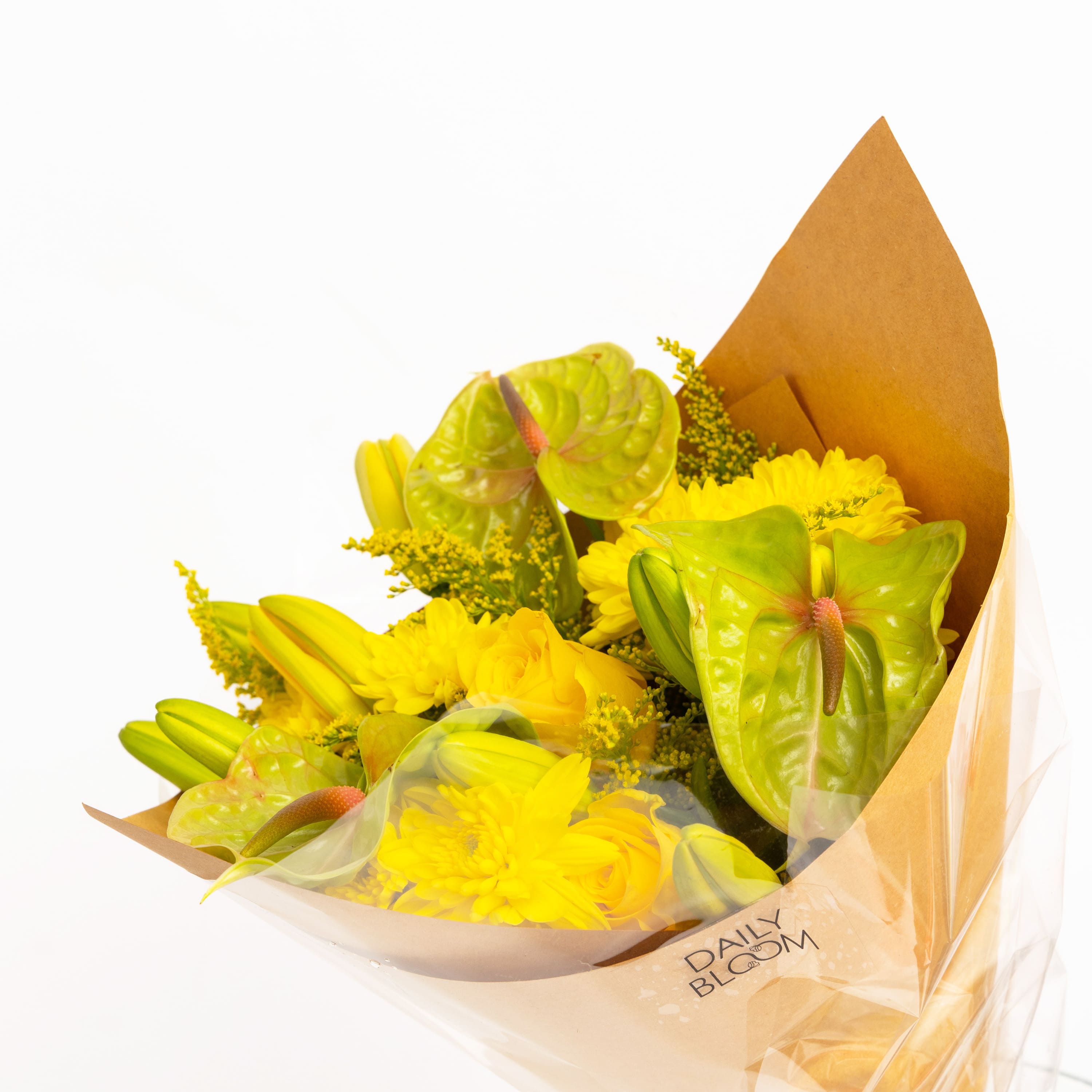 Cherry Blossom Daily Bloom