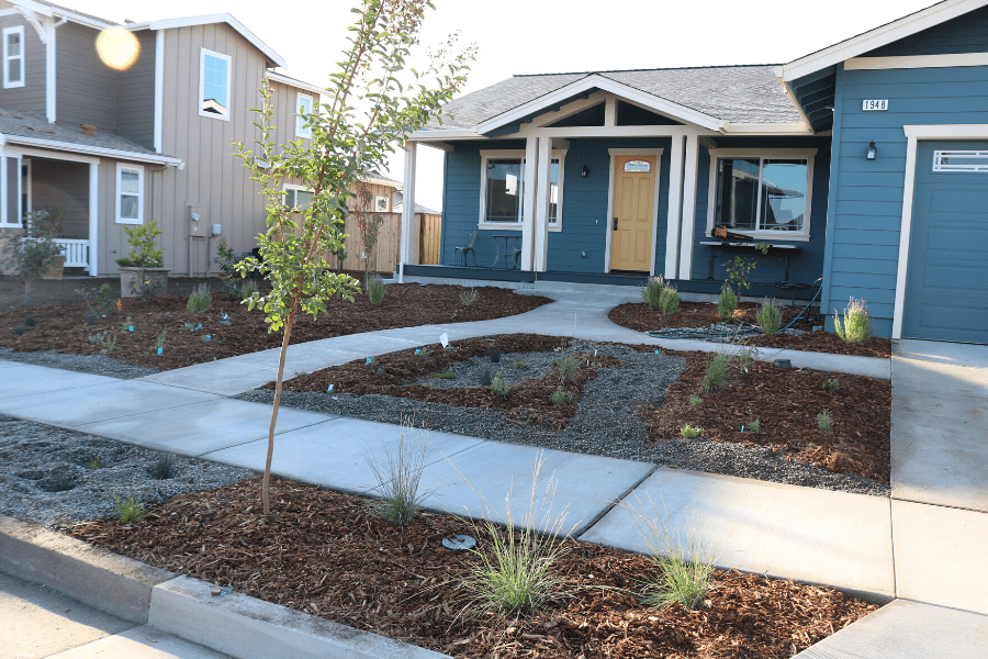 Coffey Park Front Yard Landscape Installations Daily Acts