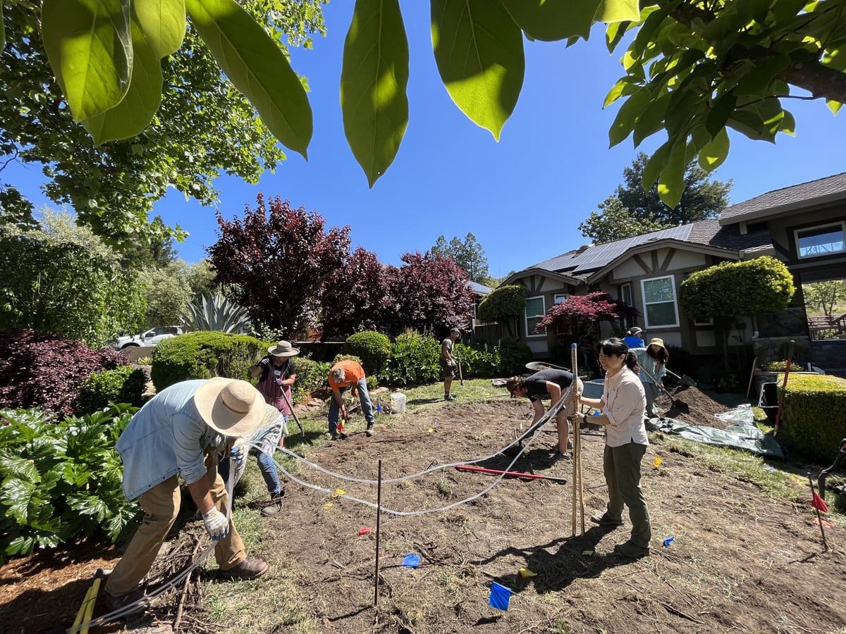 Windsor Rain Garden Installation and Daily Acts