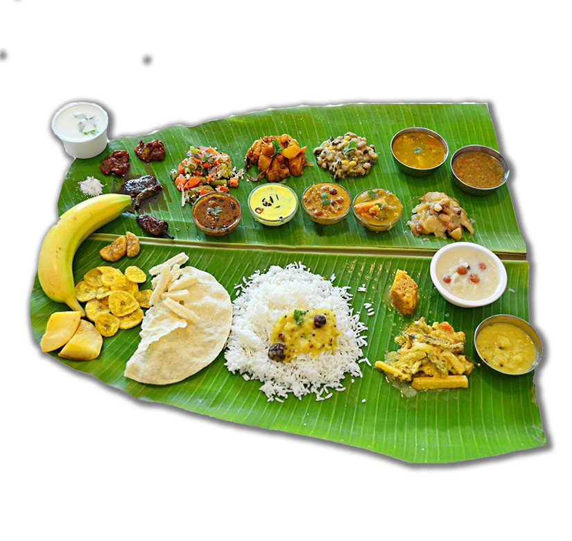 Homemade Food Delivery Service in Chennai DailyBox