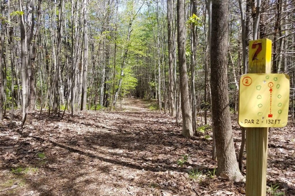 Wilton Volunteer of the Year recognized for work at disc golf Daily