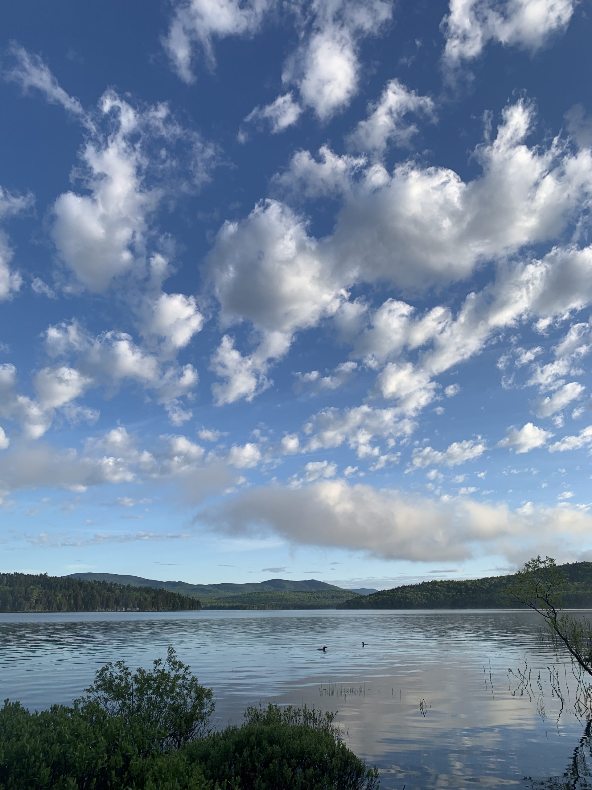 Foot and Paddle Aziscohos Lake Daily Bulldog