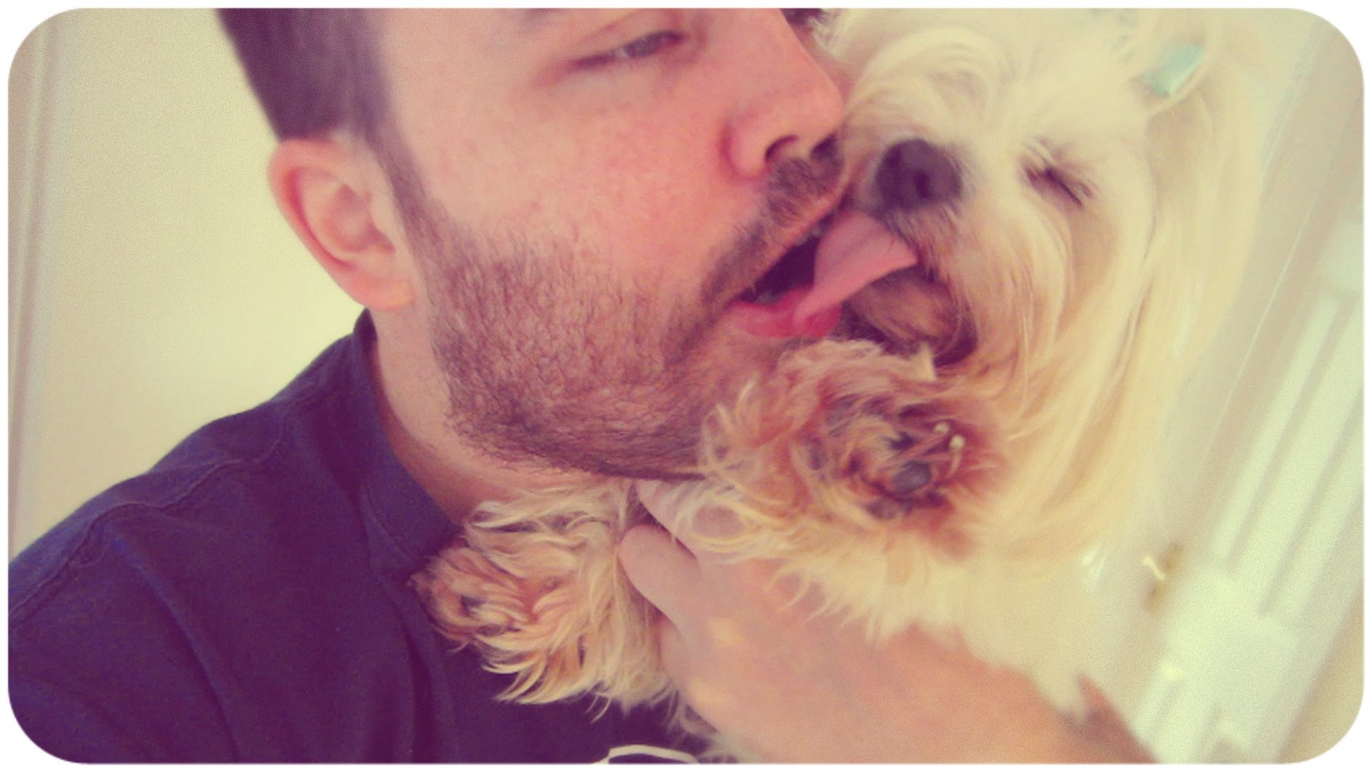 12 Of The Sloppiest Dog Kisses And The People Who Encouraged It