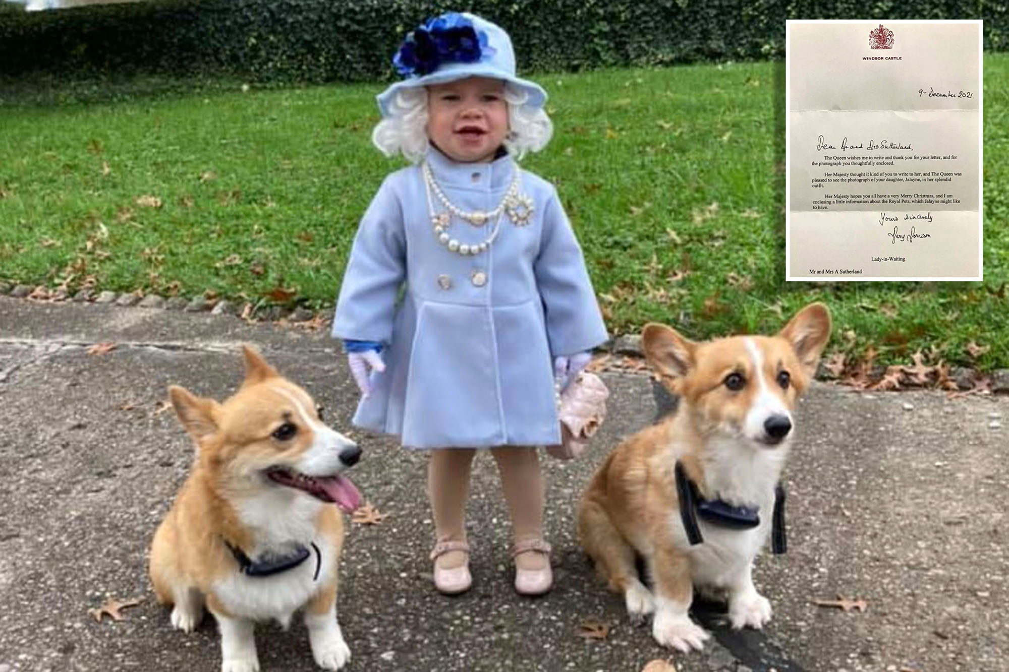 Toddler Dresses As The Queen Complete With Queen Sends Her
