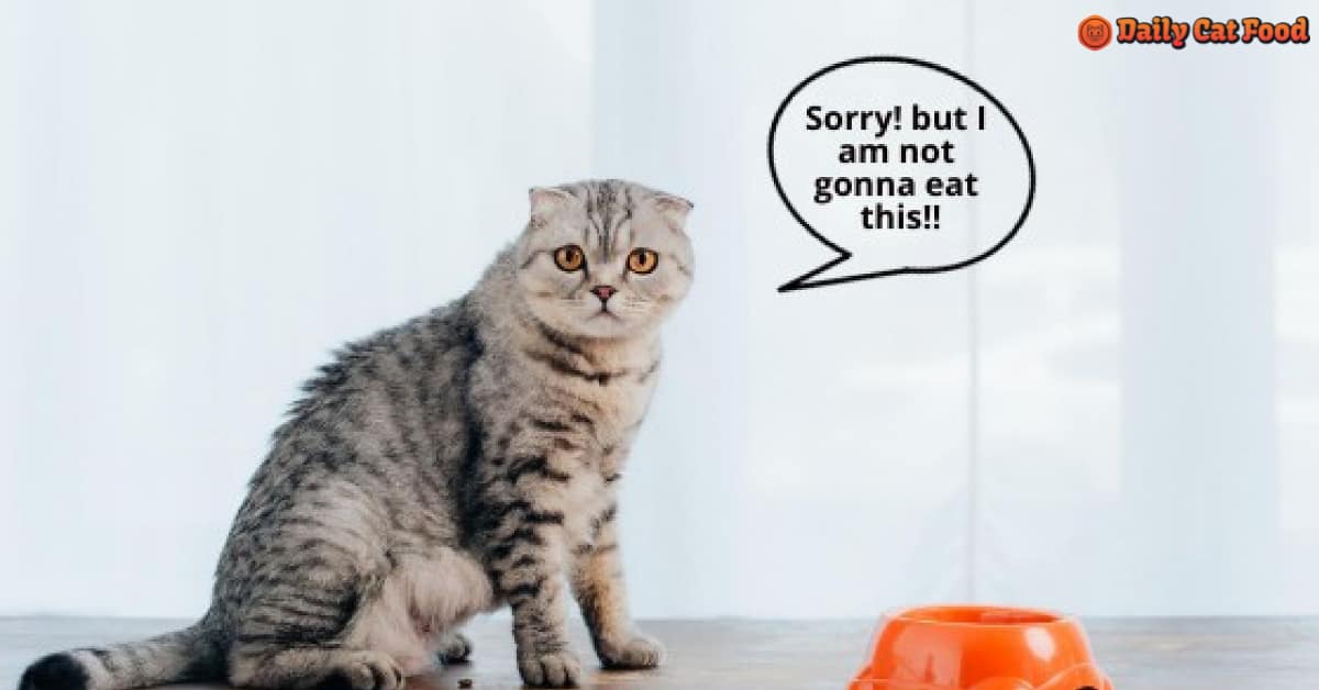 What Can Cats Not Eat? 13 Toxic Foods Your Cat Should Never Eat