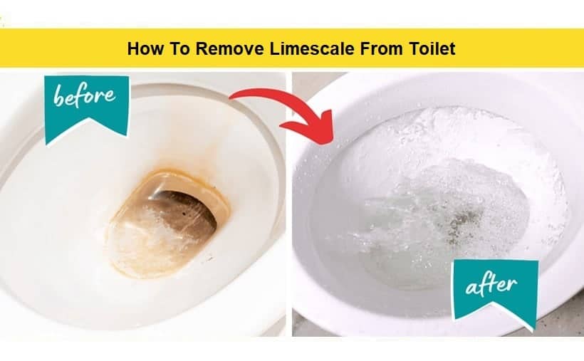 How To Remove Limescale From Toilet
