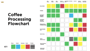 Coffee Processing Styles and Terminology (Plus Flowchart)