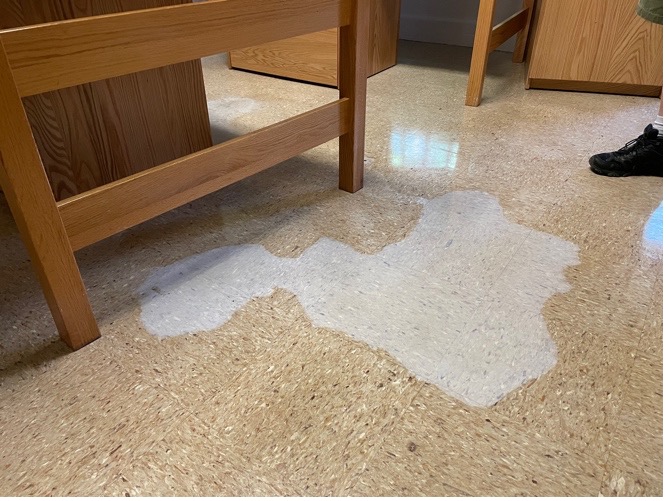 Chadbourne residents removed from dorm due to unfit housing conditions