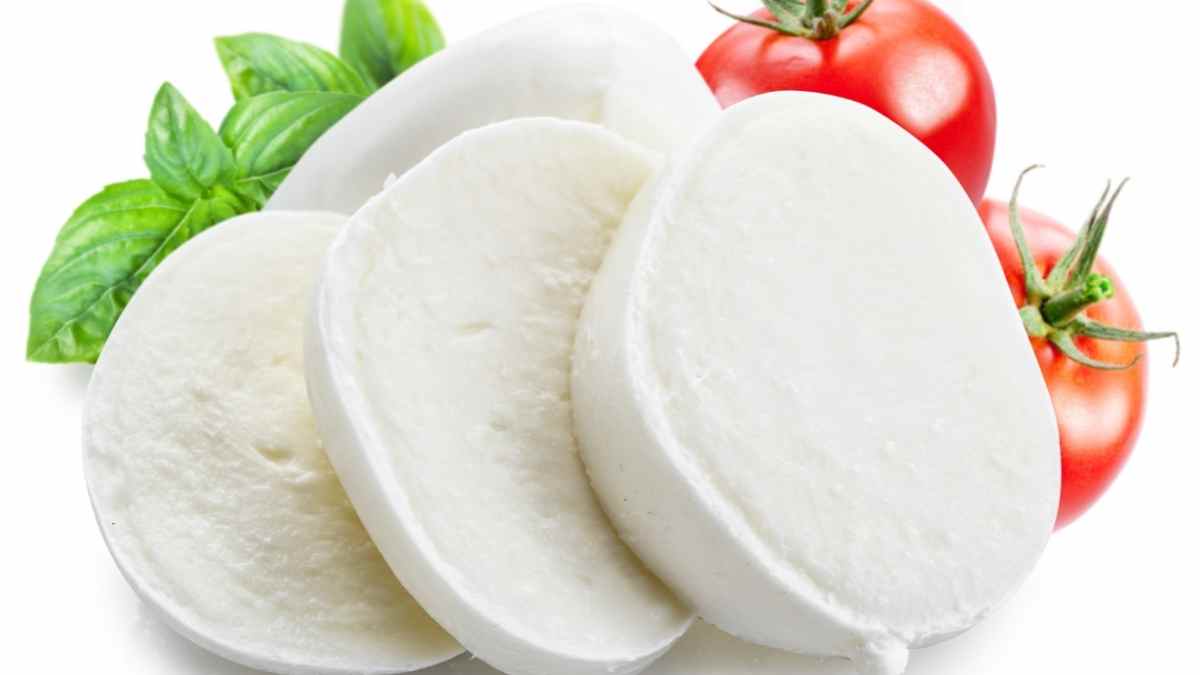 Best Substitutes for Mozzarella