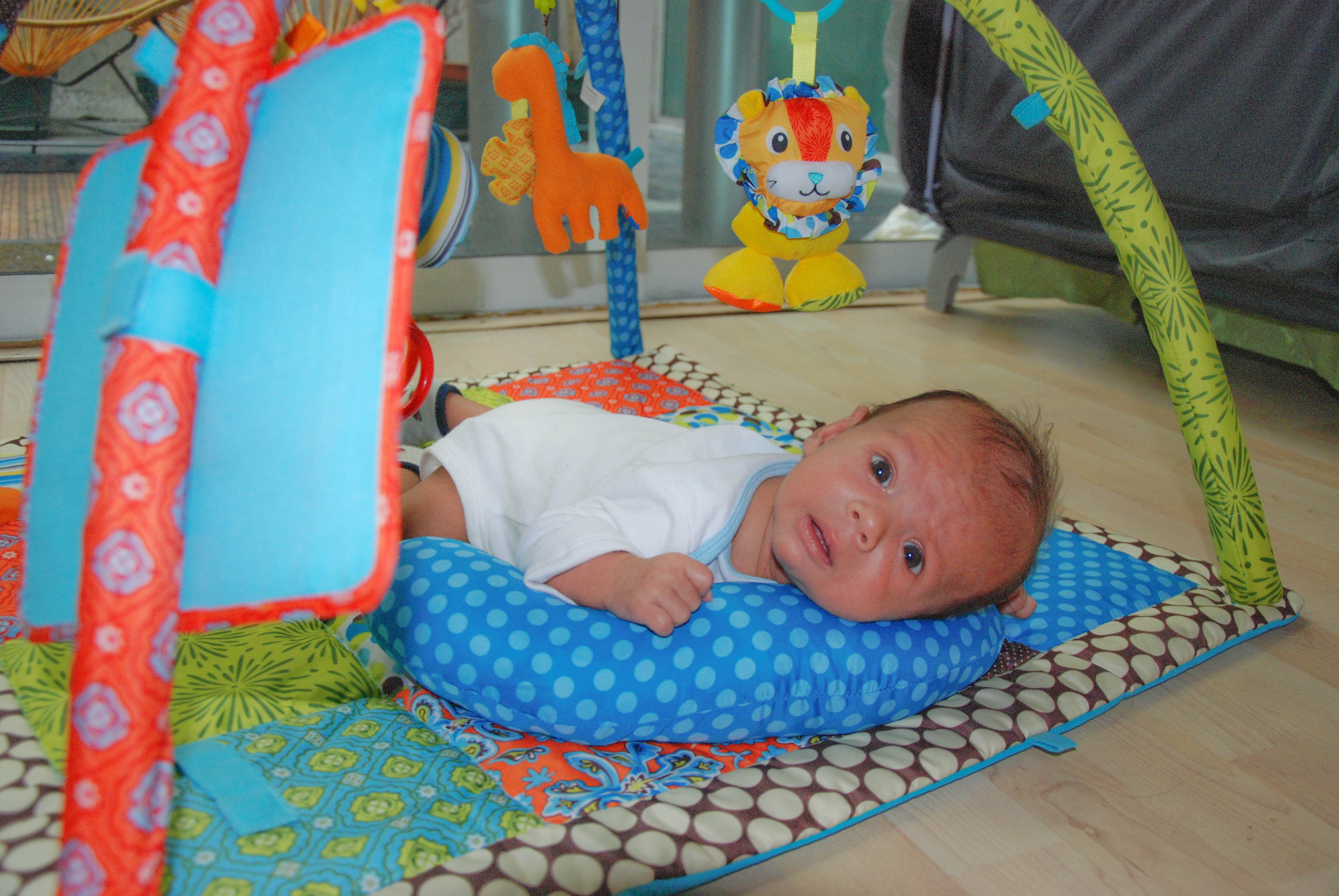 Jungle Fever Daily Dex {+ Alex}