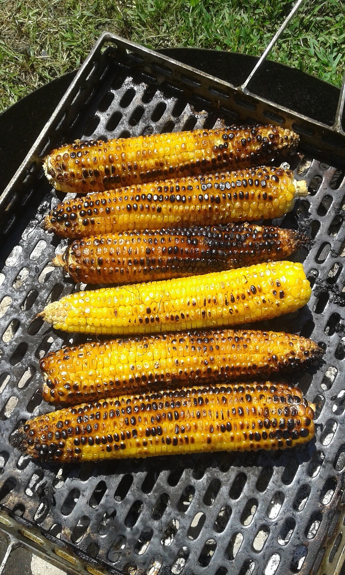 Reeseville Corn Roast Returns For 61st Year Saturday Daily Dodge