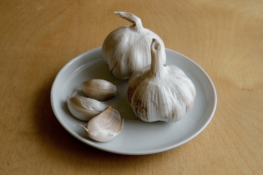 The Healing Properties of Garlic Antibiotic, Antifungal, and ImmuneBoosting Benefits Explained