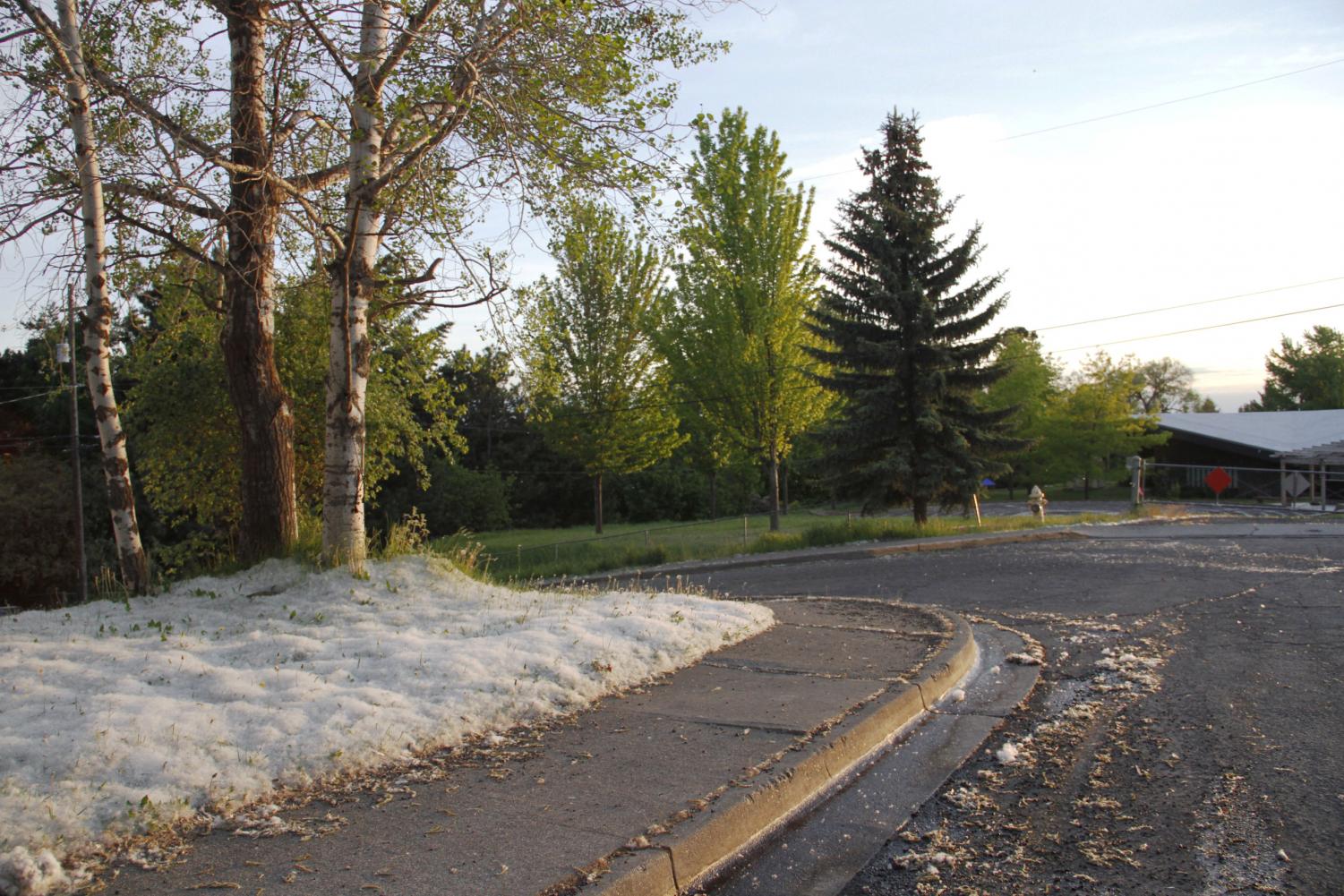 Fire department cautions residents of fluff fires The Daily Evergreen