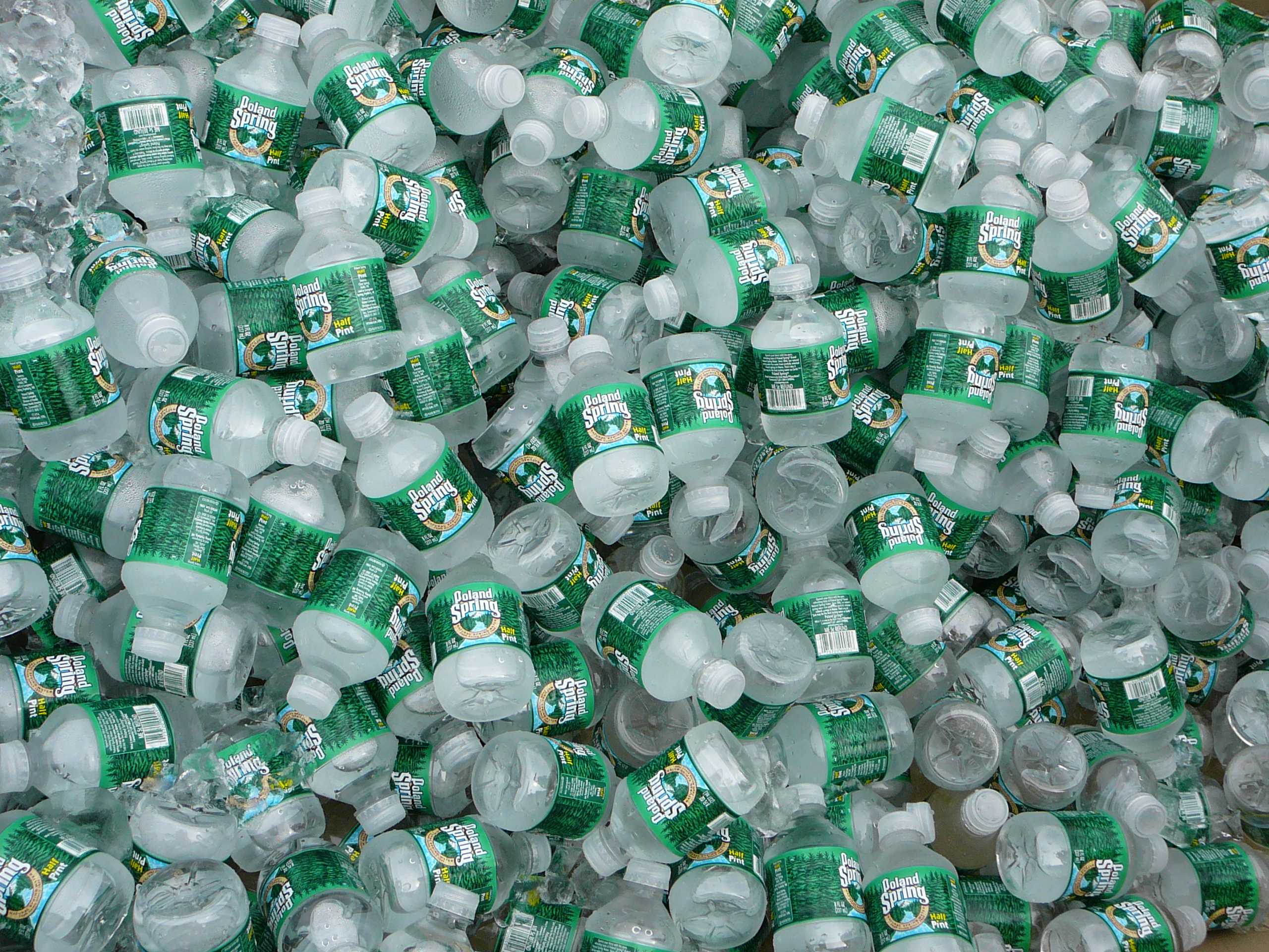 EDITORIAL Bring Your Own Bottle The Daily Free Press