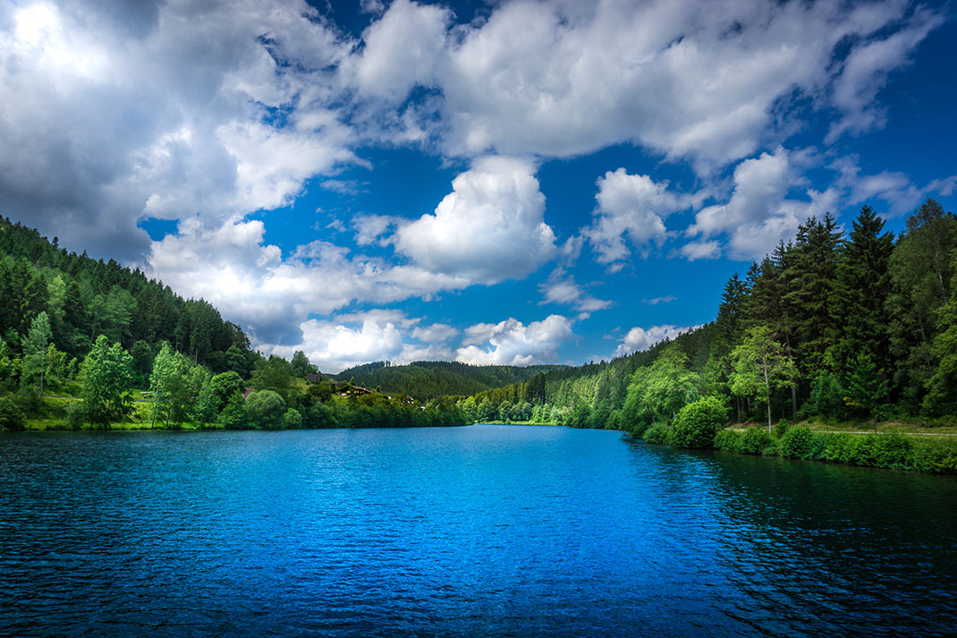 Pénétrez dans l’une des plus belles forêts du monde la ForêtNoire en Allemagne