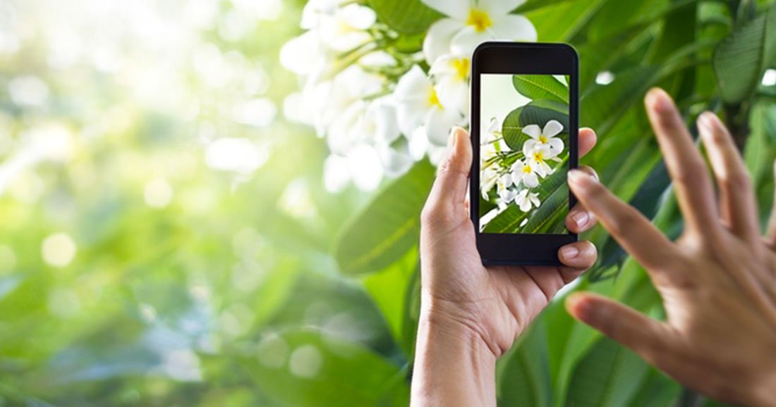 Cette application vous permet dâ€™identifier les diffÃ©rentes plantes