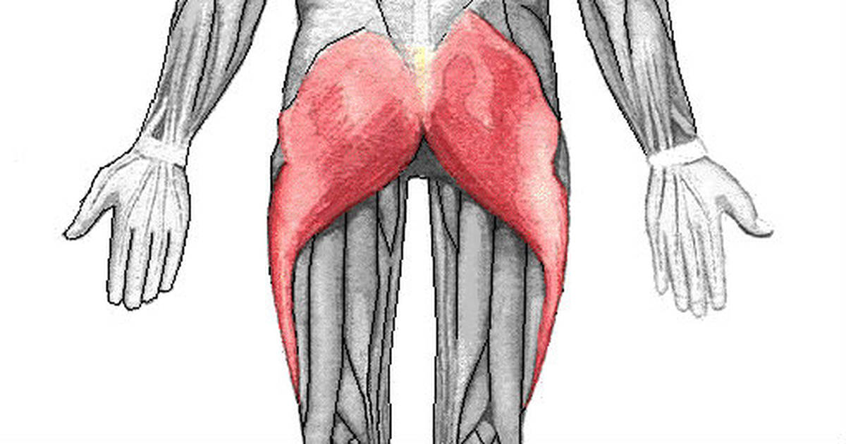 4 Awesome And Easy Glute Exercises That Aren’t Squats