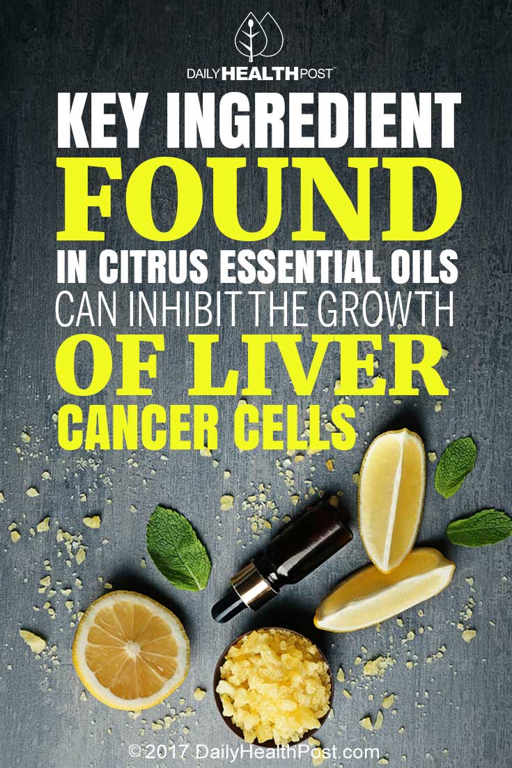 Key Ingredient Found In Citrus Essential Oils Can Inhibit The Growth of Liver Cancer Cells