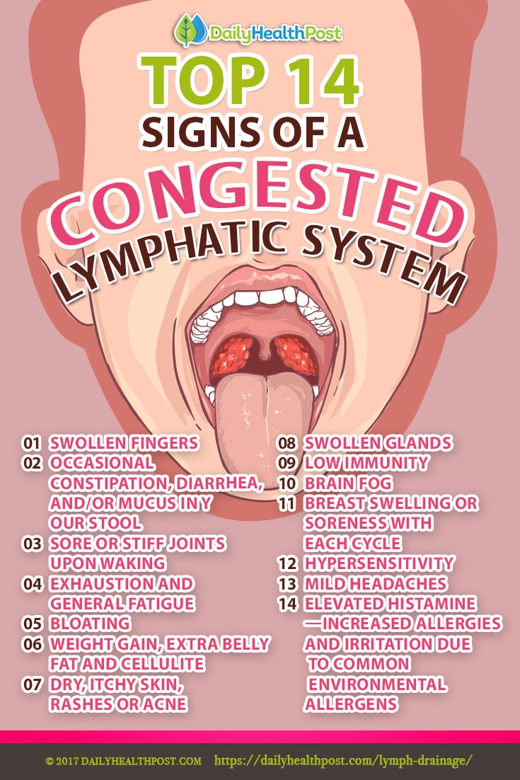 Lymph Drainage The Secret to Staying Healthy and Avoiding Disease