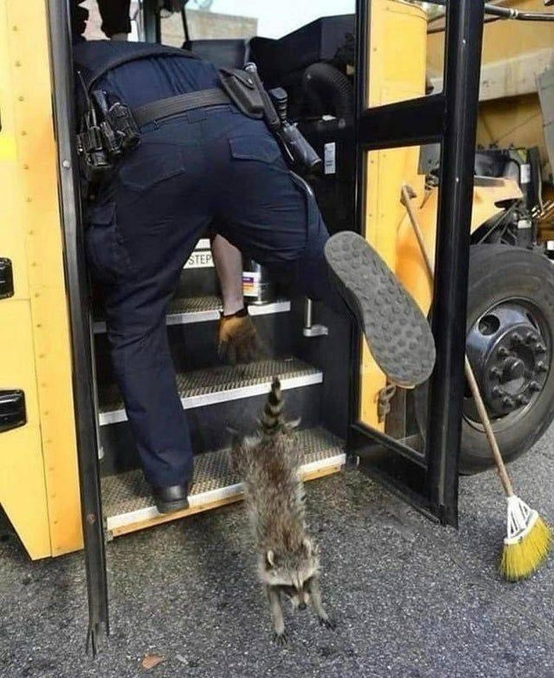 40 Weird And Wild Photos That Will Leave You Scratching Your Head