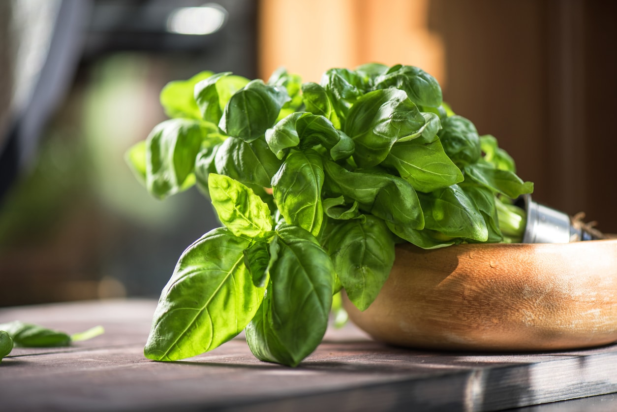 Fresh Basil Recalled in 10 States for Risk of Parasite Infections