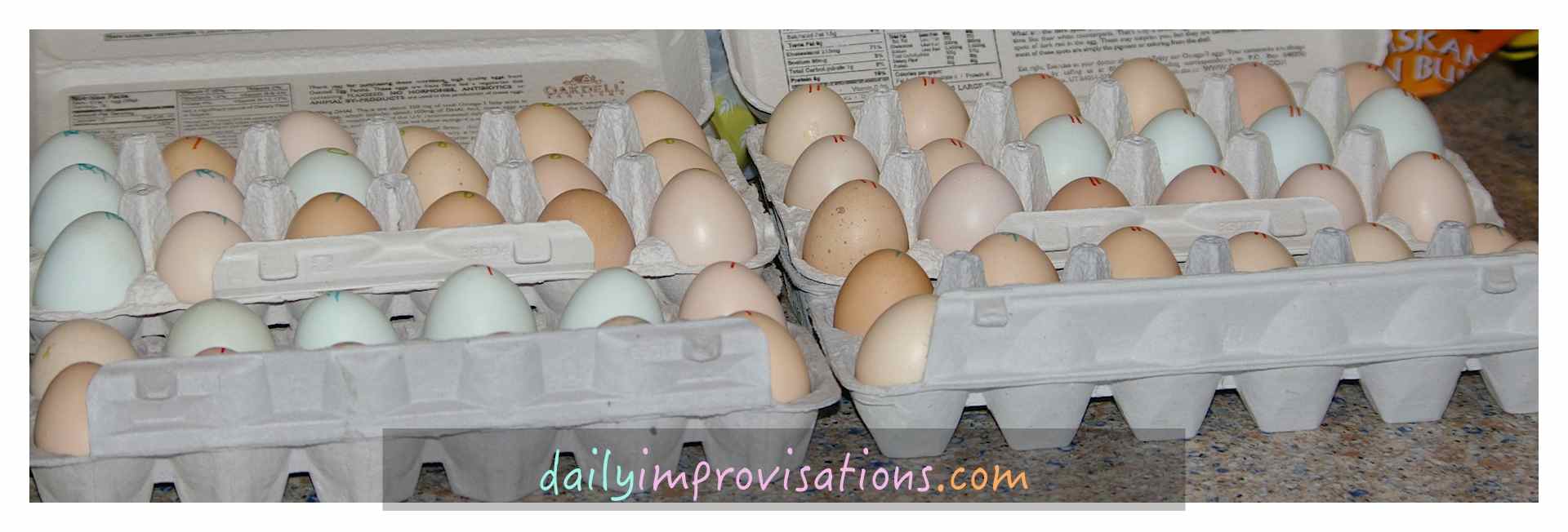 33 Quick Tips for New Chicken Owners