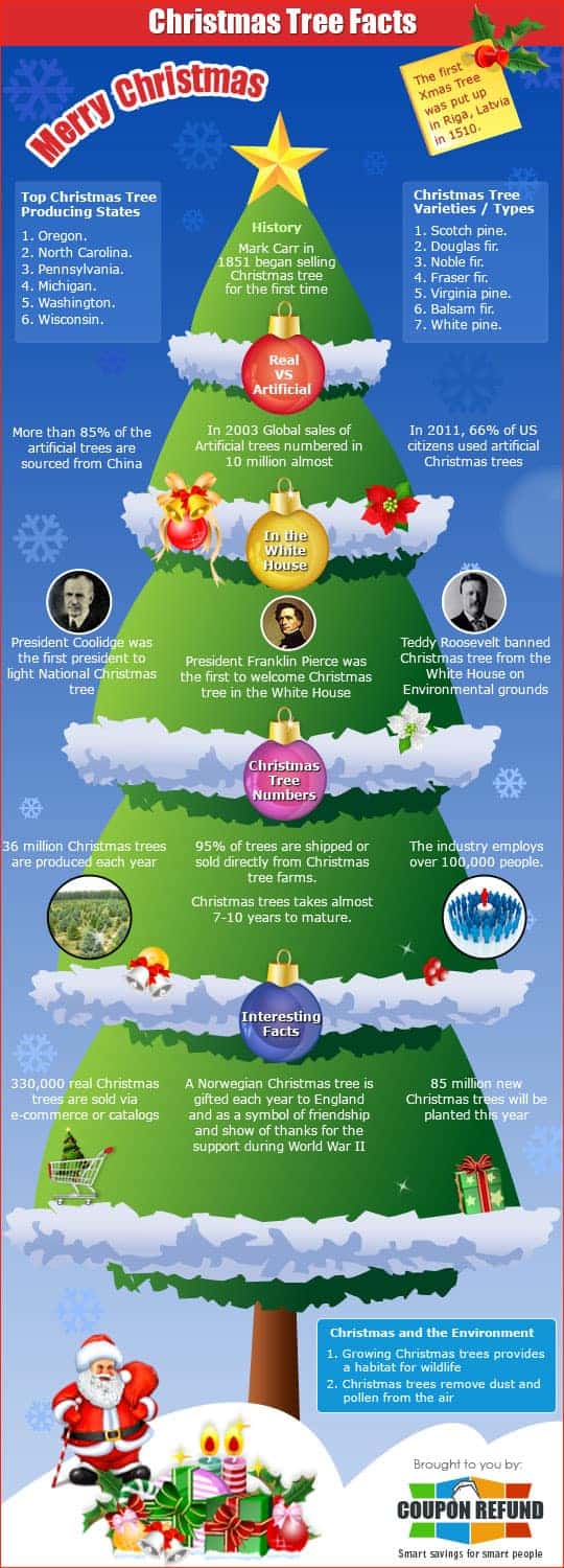 Christmas Tree Facts Daily Infographic