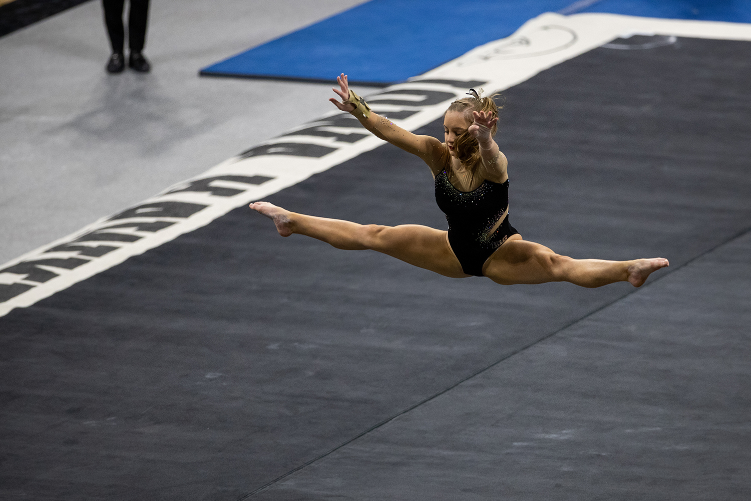 Iowa Gymnastics Roster 2019 at Chagnon blog