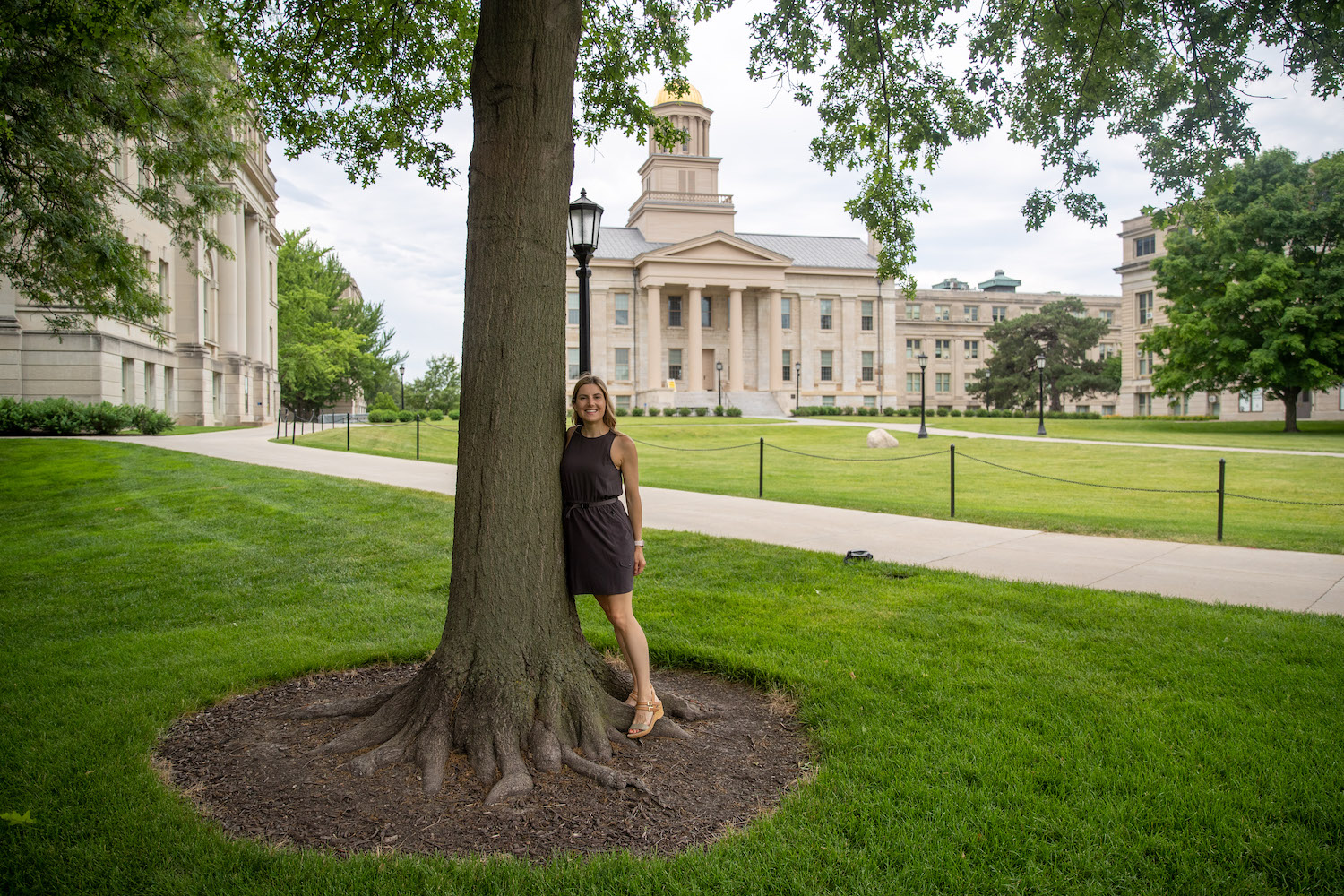 UI instructor leads initiative to bring sapling from Anne Frank tree to