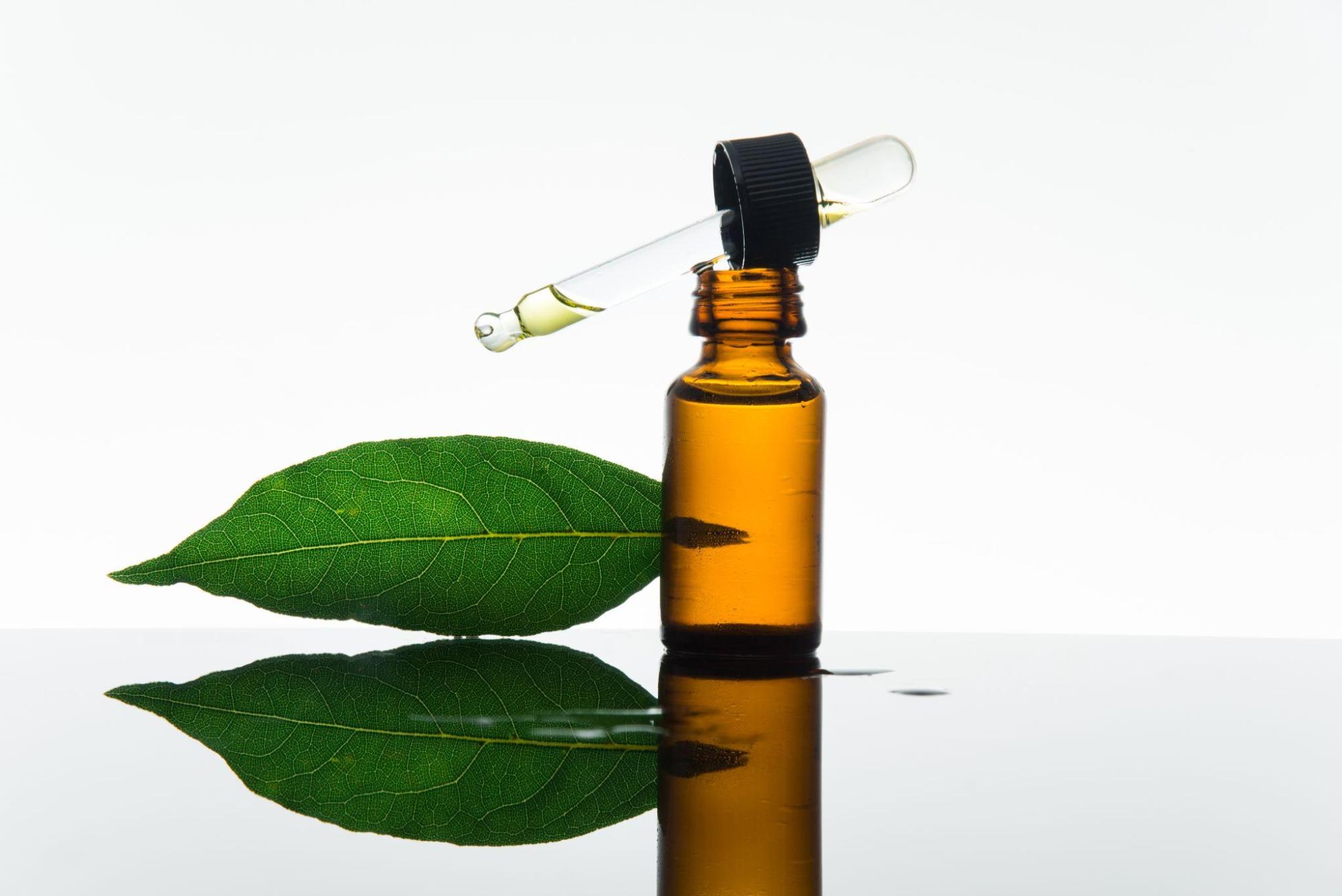 How to Make Bay Leaf Oil Everything You Need to Know The Daily Iowan