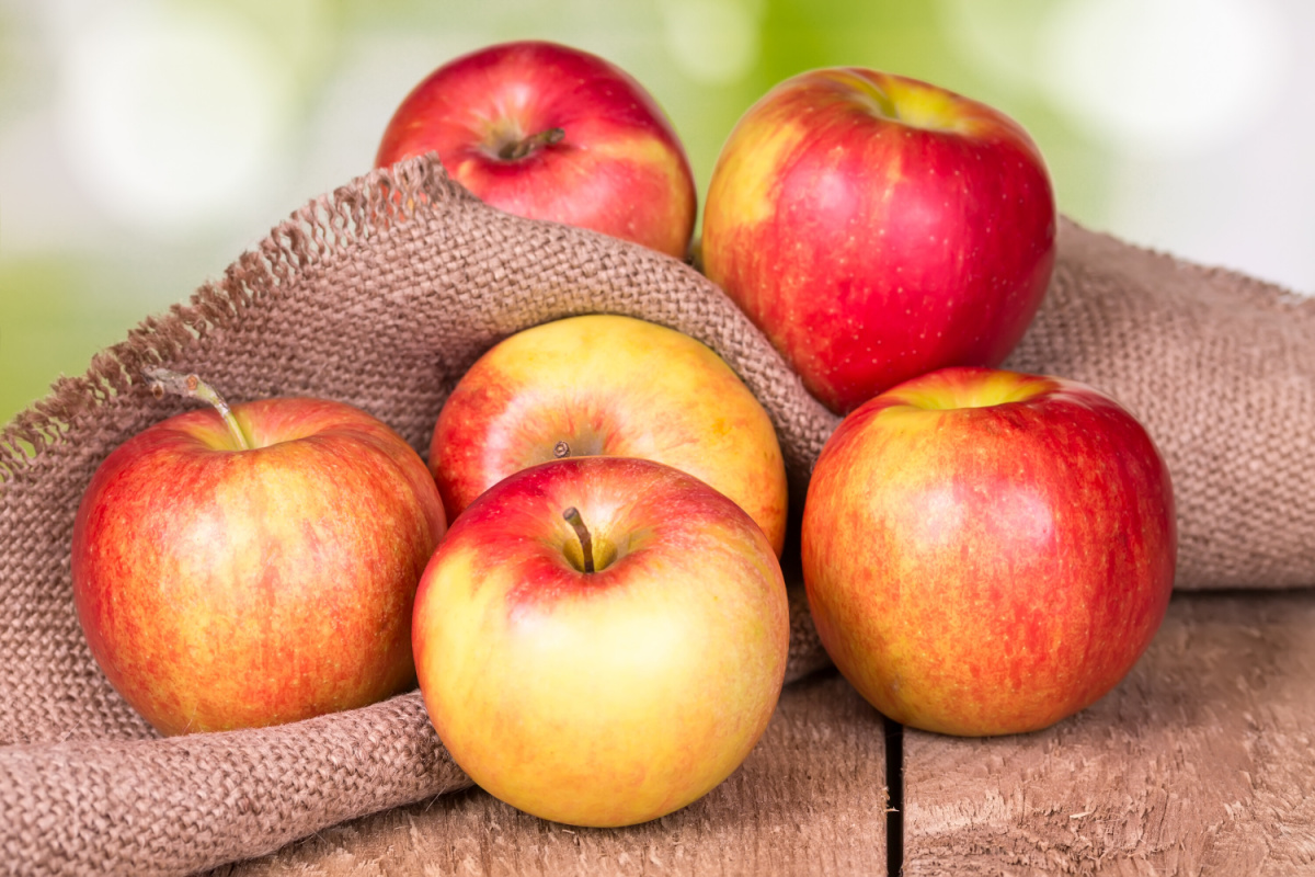 Apple Juice for Constipation Daily Medicos