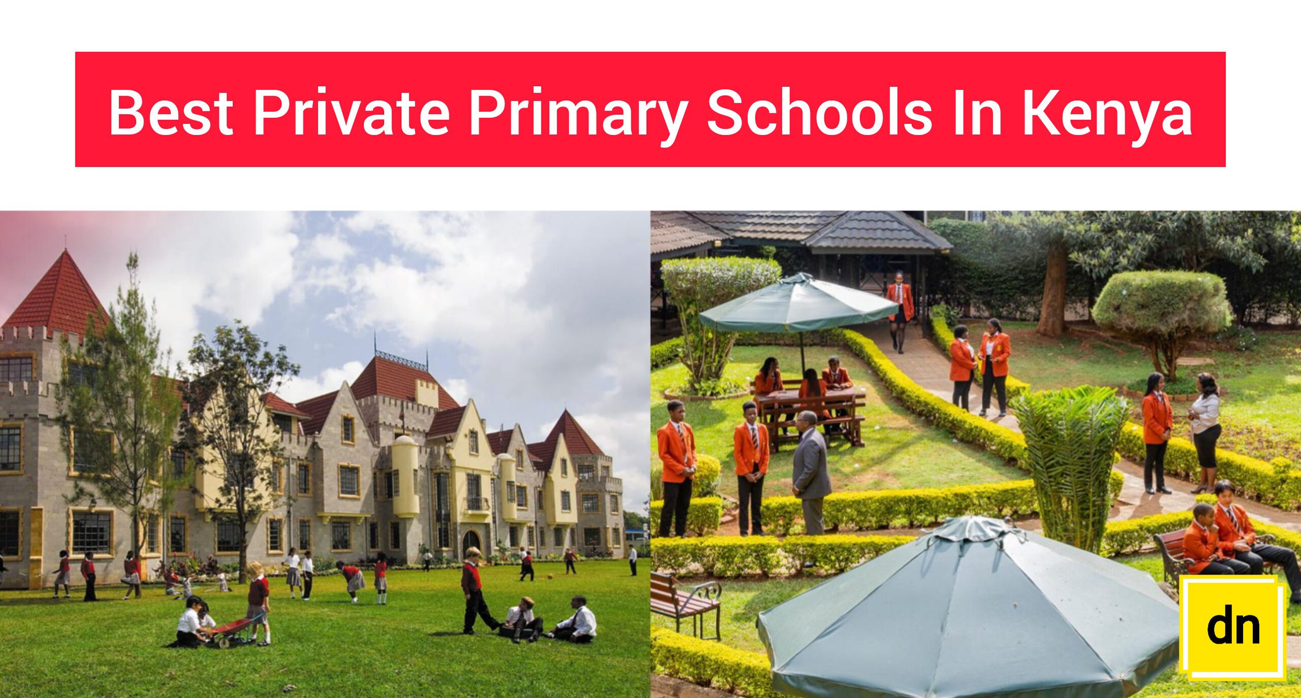 Top 20 Best Private Primary Schools In Kenya 2024 The Daily Nairobi