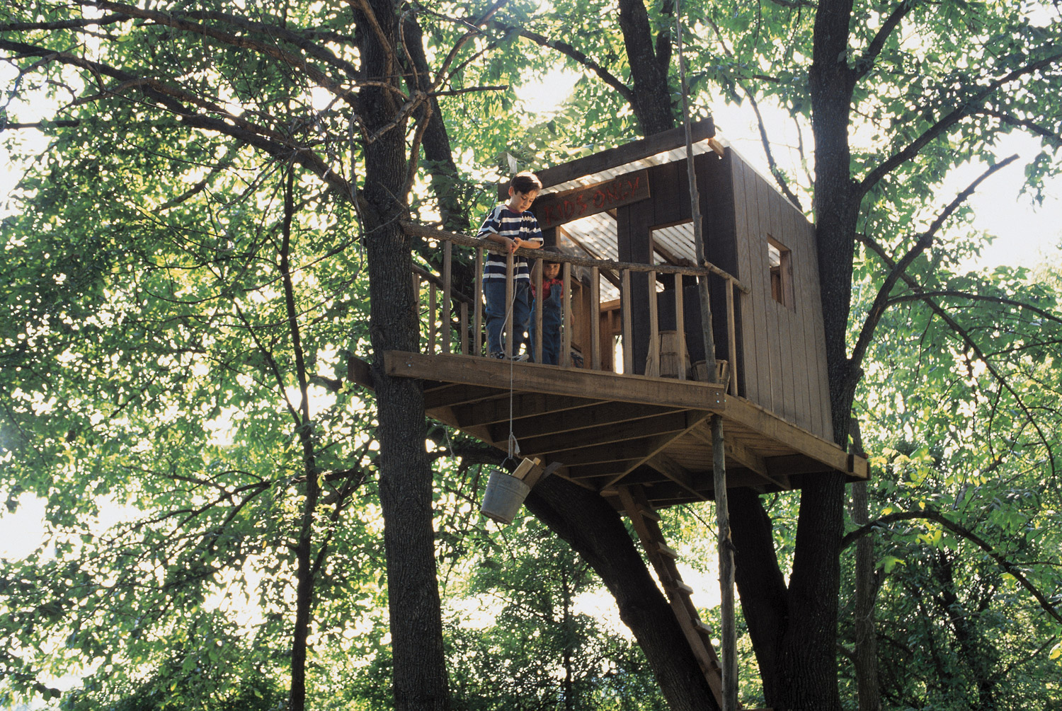 How to Build the Best Treehouse Daily Parent