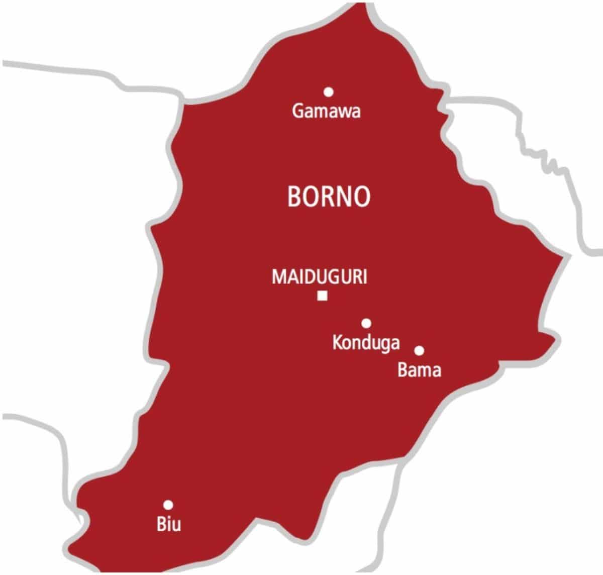Security forces repel ISWAP attack on Borno community Daily Post Nigeria
