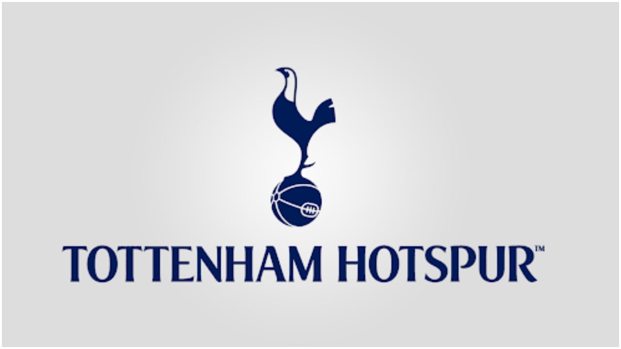 Tottenham put 8 players up for sale [Full list] Daily Post Nigeria