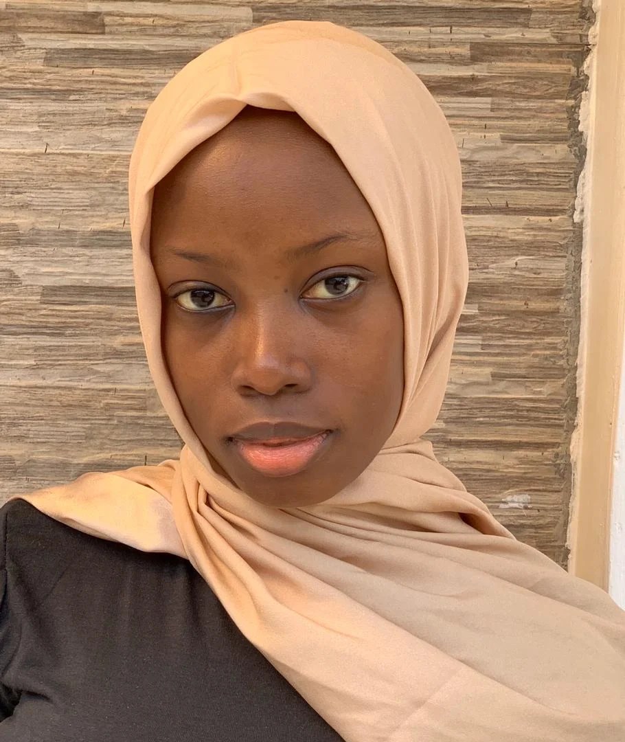 Zubaida Baba Ibrahim Nigeria Parable of the elephant in the room